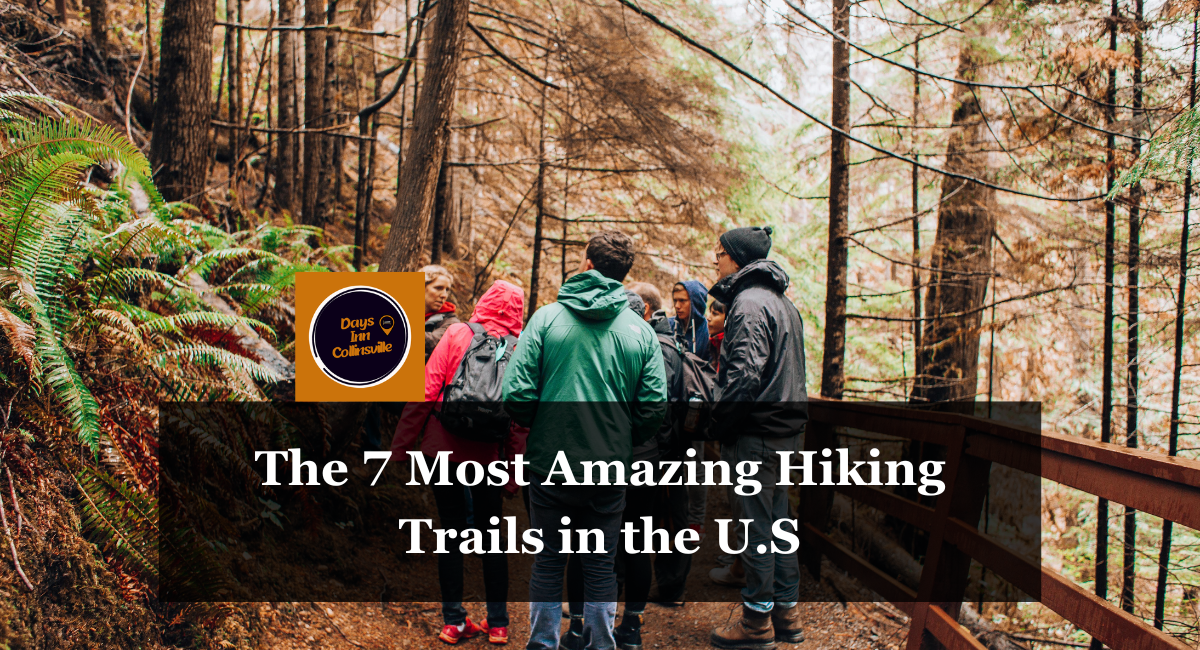 The 7 Most Amazing Hiking Trails in the U.S